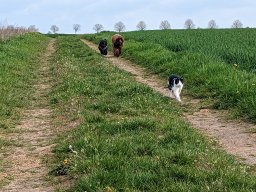 Stellplatz Bilder
